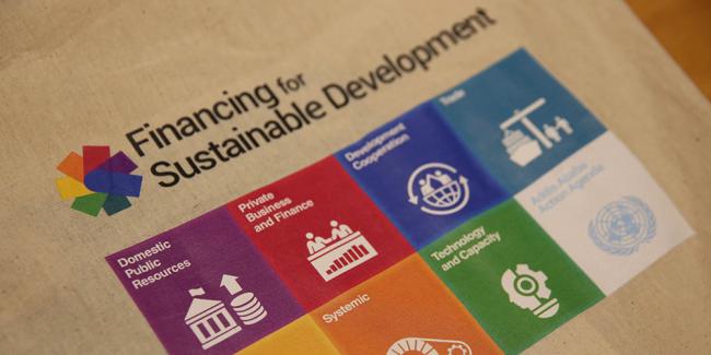 Financing for Sustainable Development