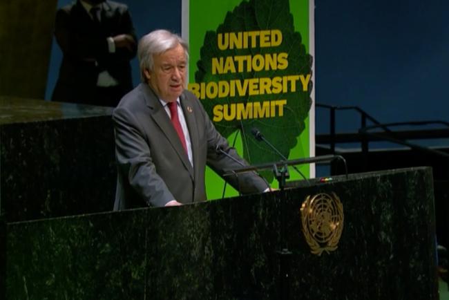 UN Secretary-General António Guterres