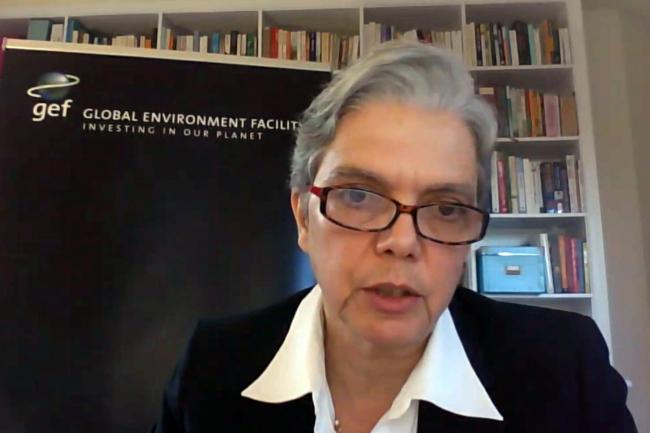 Françoise Clottes, GEF Secretariat