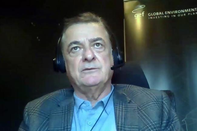 Gustavo Fonseca, GEF Secretariat