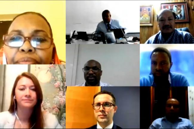 Clockwise from top left: Least Developed Countries Expert Group (LEG) Chair Hana Hamadalla Mohamed, Sudan; UNFCCC Secretariat IT support; LDC Group Chair Sonam Phuntsho Wangdi, Bhutan; Mokoena France, Lesotho; Adao Soares Barbosa, Timor-Leste; Manuel JosÃ© Salidas, COP 25 Presidency; Nikki Lulham, LEG Member, Canada; Pa Ousman Jarju, Green Climate Fund (GCF) Secretariat (middle).