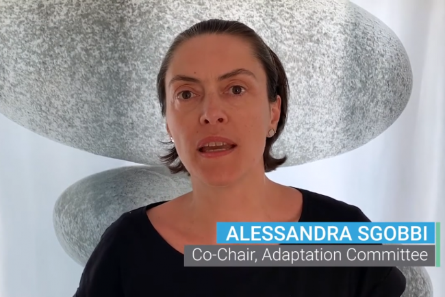 Alessandra Sgobbi (Italy), Adaptation Committee Co-Chair