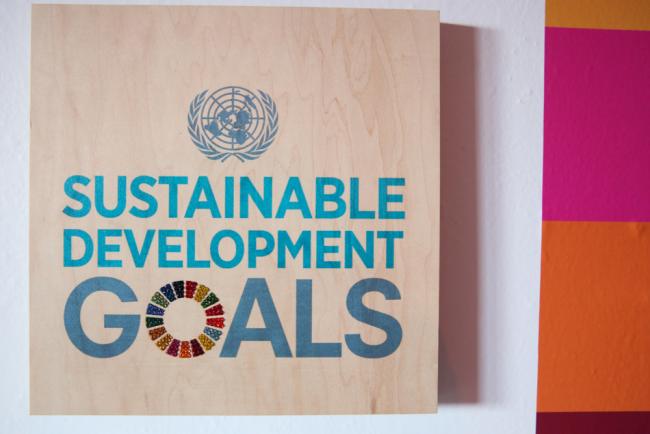 On Wednesday, HLPF 2020 heard messages from the regions on achieving the Sustainable Development Goals (SDGs), and 10 countries presented their voluntary national reviews (VNRs)