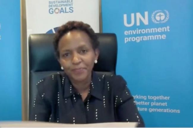 Joyce Msuya, Deputy Executive Director, UN Environment Programme