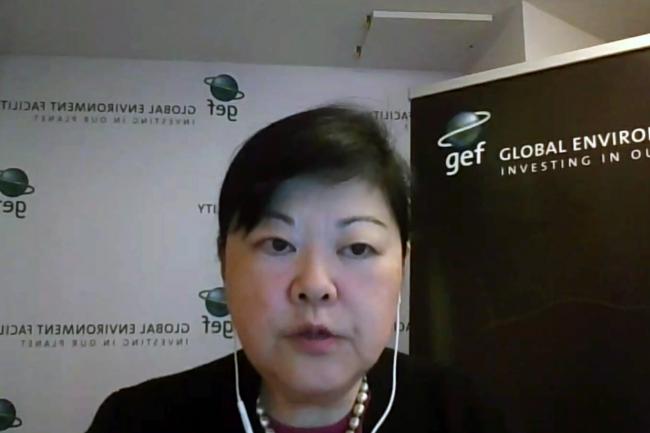 Chizuru Aoki, GEF Secretariat