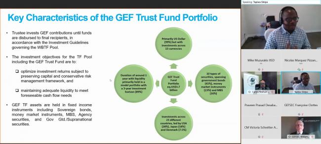 Slide from the presentation by Tapiwa Sikipa, World Bank, on the Proposal for Responsible Investment Options for the GEF Trust Fund