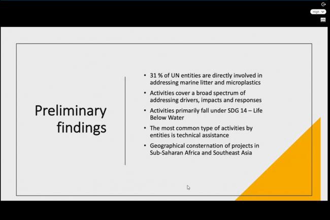 Presentation on the progress on the provisional mapping of all UN agencies and initiatives on marine litter