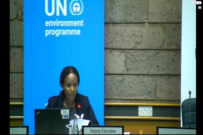 Joyce Msuya, Deputy Executive Director, UNEP