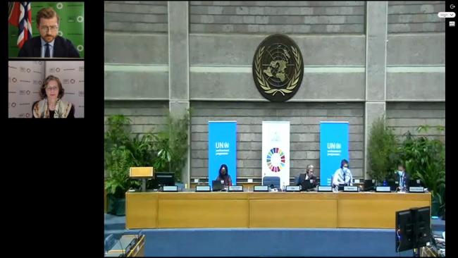 View of the dais during the plenary
