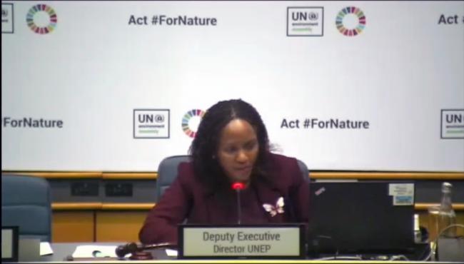 Joyce Msuya, Deputy Executive Director, UN Environment Programme