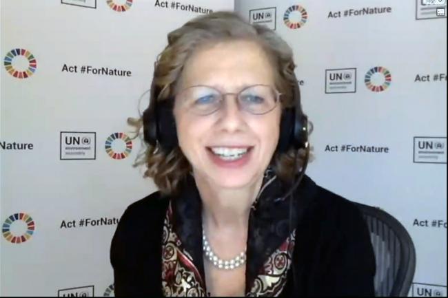 Inger Andersen, Executive Director, UN Environment Programme