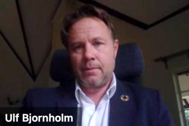 Ulf Bjornholm, UNEP