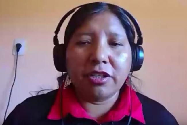 Viviana Figueroa, Red de Mujeres Indígenas sobre Biodiversidad de América Latina y el Caribe