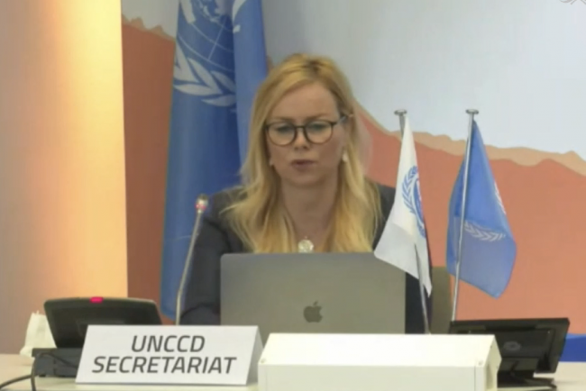 Camilla Nordheim Larson, GM