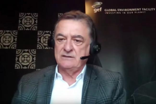 Gustavo Fonseca, Global Environment Facility (GEF)