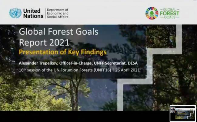 Presentation of the Launch of the Global Forest Goals Report 2021