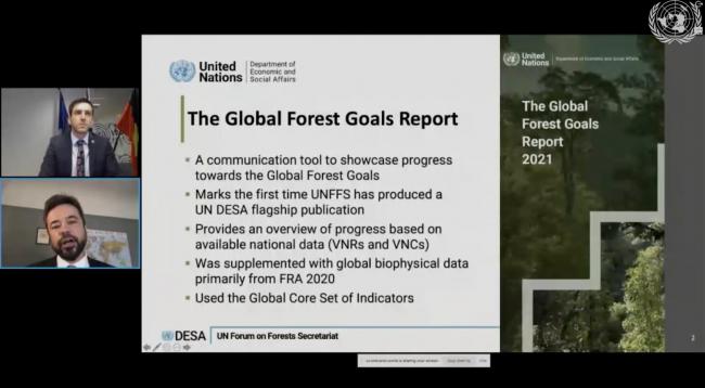 A slide from the presentation made by Tomasz Juszczak, UNFF Secretariat