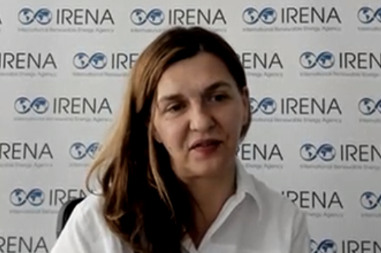 Elizabeth Press, IRENA