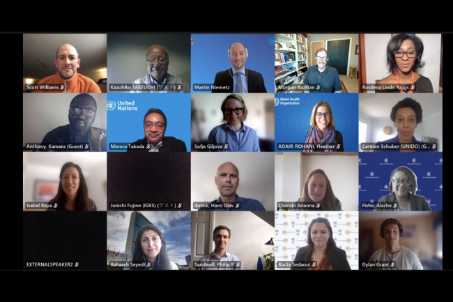 Participants in the final meeting of the Technical Working Group on Enabling SDGs through Inclusive, Just Energy Transitions paused for a group screenshot