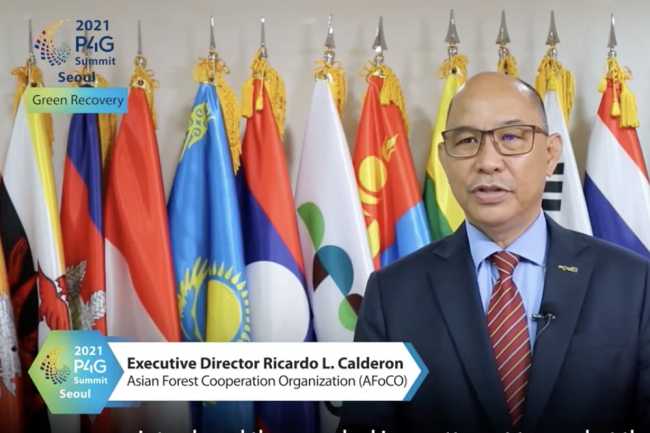 Ricardo Calderon, Asian Forest Cooperation Organization 