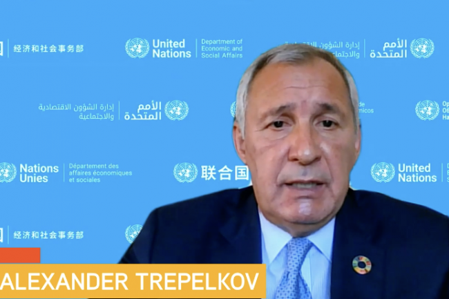 Alexander Trepelkov, Officer-in-Charge, Division for Sustainable Development, UN DESA