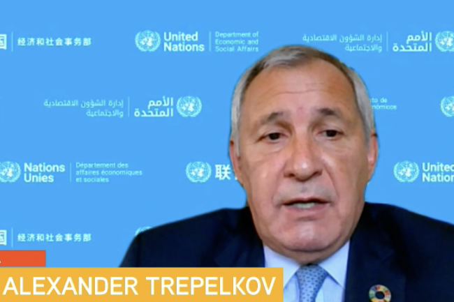 Alexander Trepelkov, Officer-in-Charge, Division for Sustainable Development, UN DESA