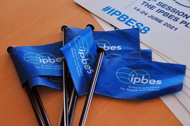 IPBES flags