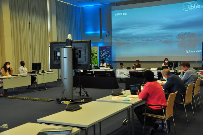 A view of the conference room