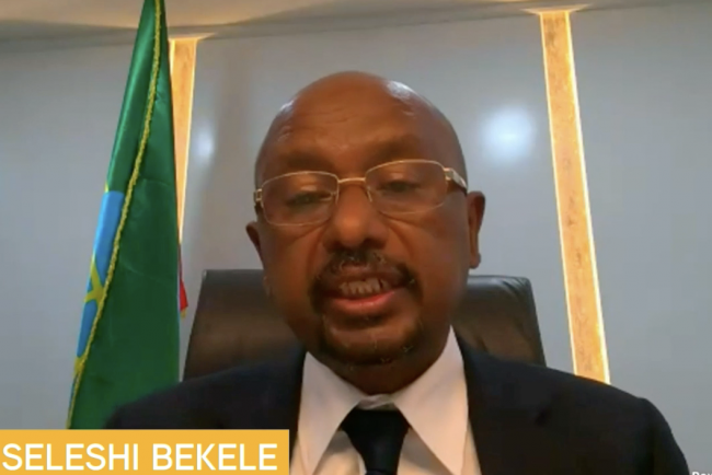 Eng Seleshi Bekele, Minister for Water, Irrigation and Energy, Ethiopia 