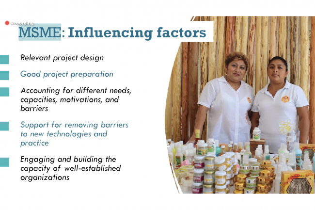 MSME: Influencing Factors