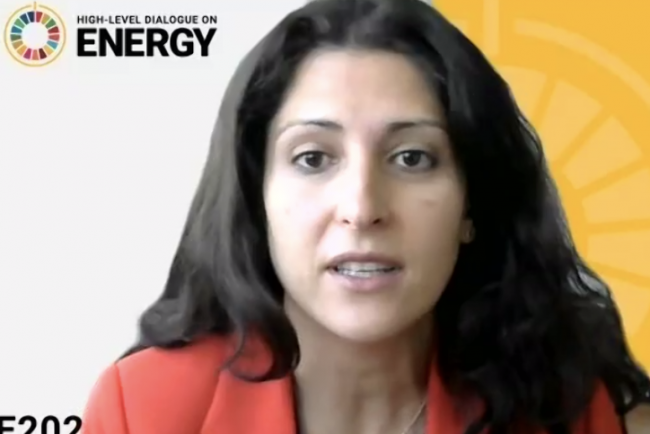 Rana Ghoneim, Chief, Energy Systems and Infrastructure Division, UNIDO