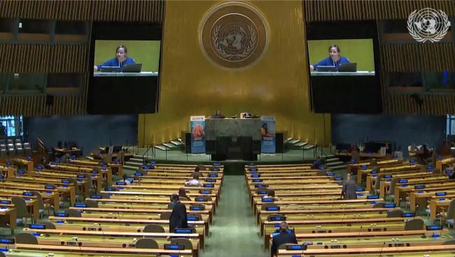 Delegates at the UNGA