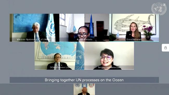 Panel 1 of the 2021 UNGA Ocean Conference
