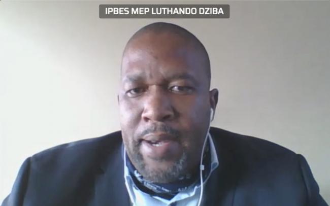 Luthando Dziba, IPBES Secretariat