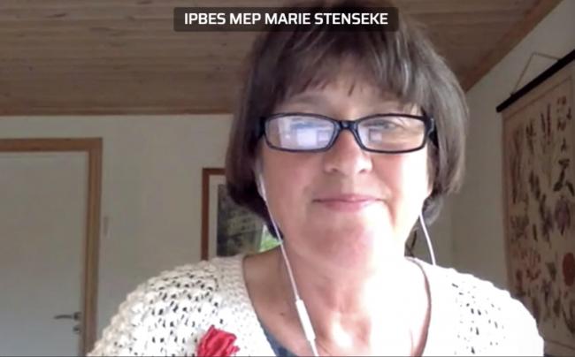 Marie Stenseke, Co-Chair of the IPBES MEP