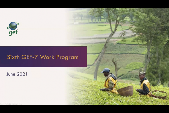 Sixth GEF-7 Work Program