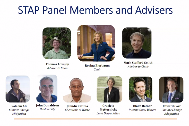 Stap Panel Members and Advisers - GEF60