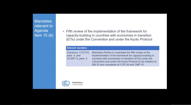 Mandate for discussions in the session on capacity building