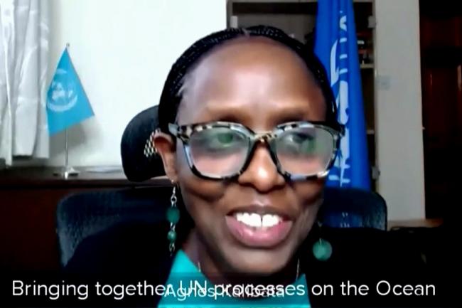 Agnes Kalibata, Special Envoy of the Secretary- General for the Food Systems Summit