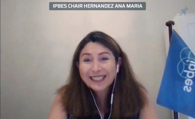 Ana María Hernández Salgar, IPBES Chair