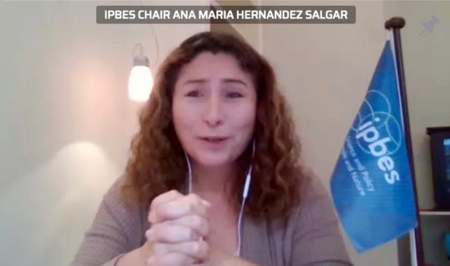 Ana María Hernández Salgar, IPBES Chair 