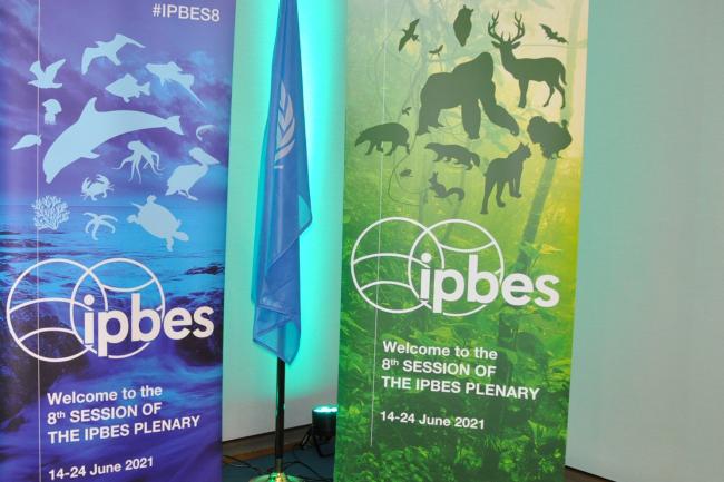 IPBES-8