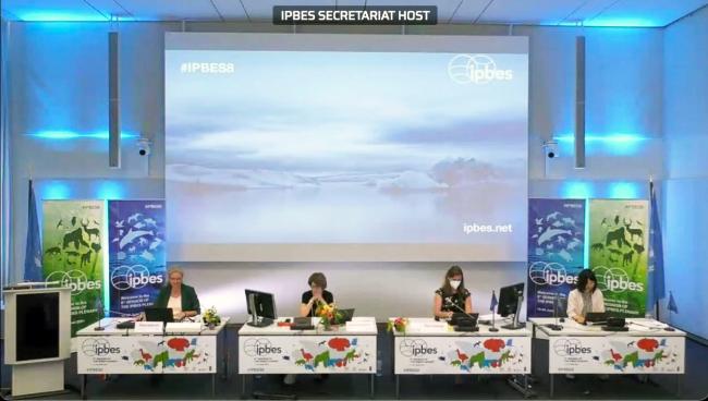 The dais during the sixth day of IPBES-8