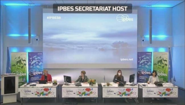 IPBES-8 dais