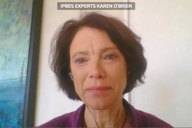 IPBES Expert Karen O'Brien, University of Oslo