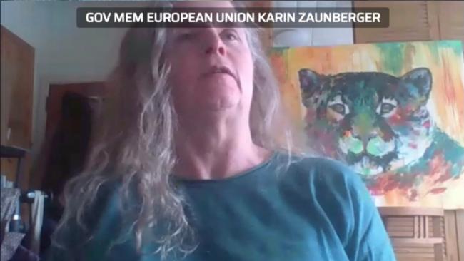 Karin Zaunberger, EU