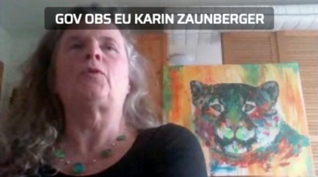 Karin Zaunberger, EU