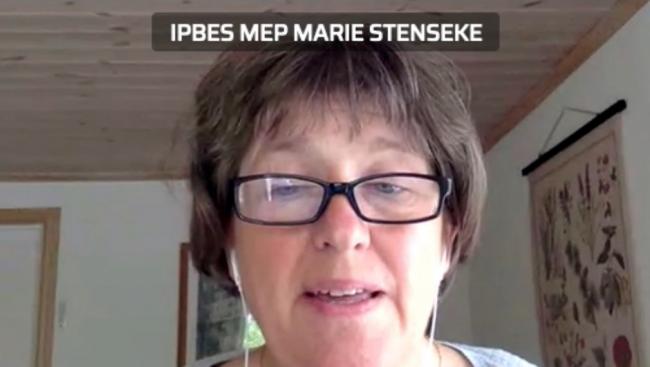 Marie Stenseke, Co-Chair of the IPBES MEP