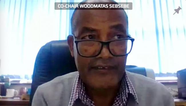 Sebsebe Demissew Woodmatas, Co-Chair of the working group on capacity building