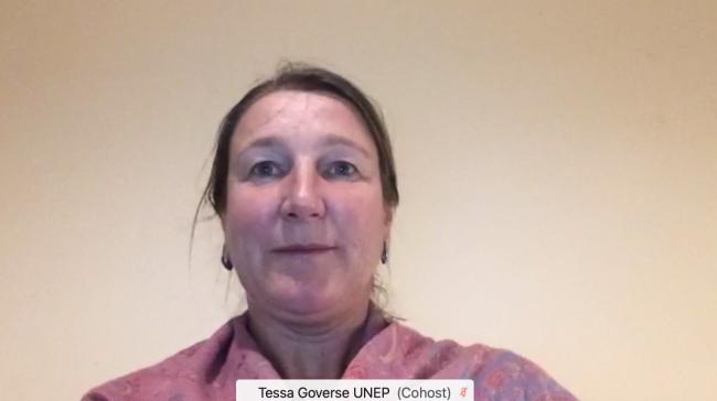 Teresa Goverse, UNEP